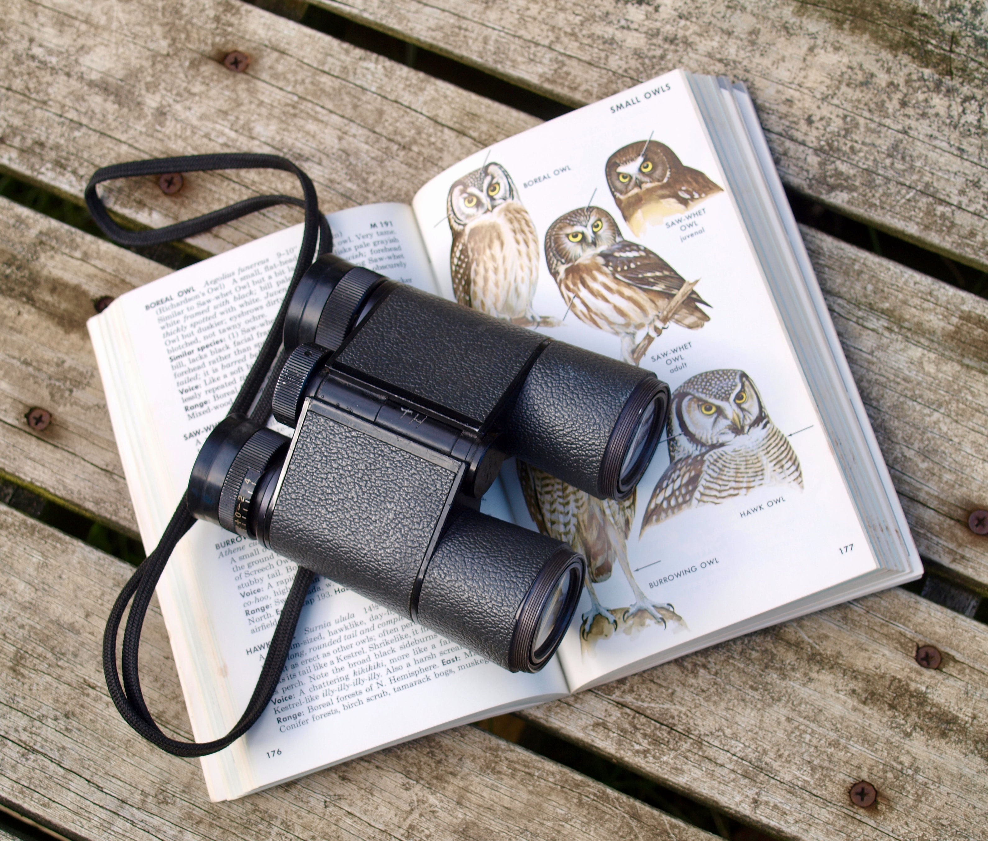 overhead view of binoculars on top of an open birdwatchers identification book identifying owls. Book and binoculars set on what appears to be a wooden picnic table