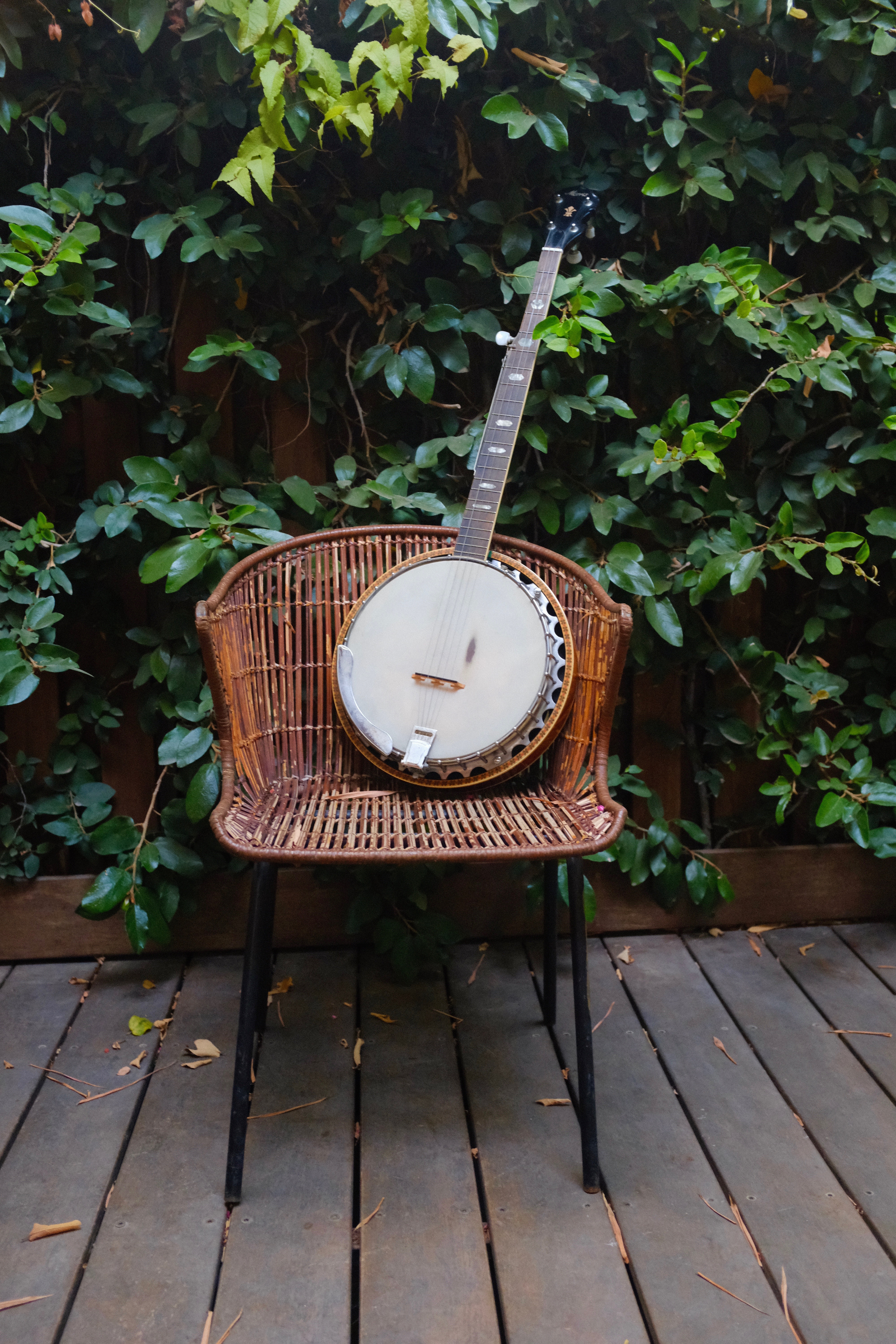 sold-back banjo on wicker chair in front of greenery