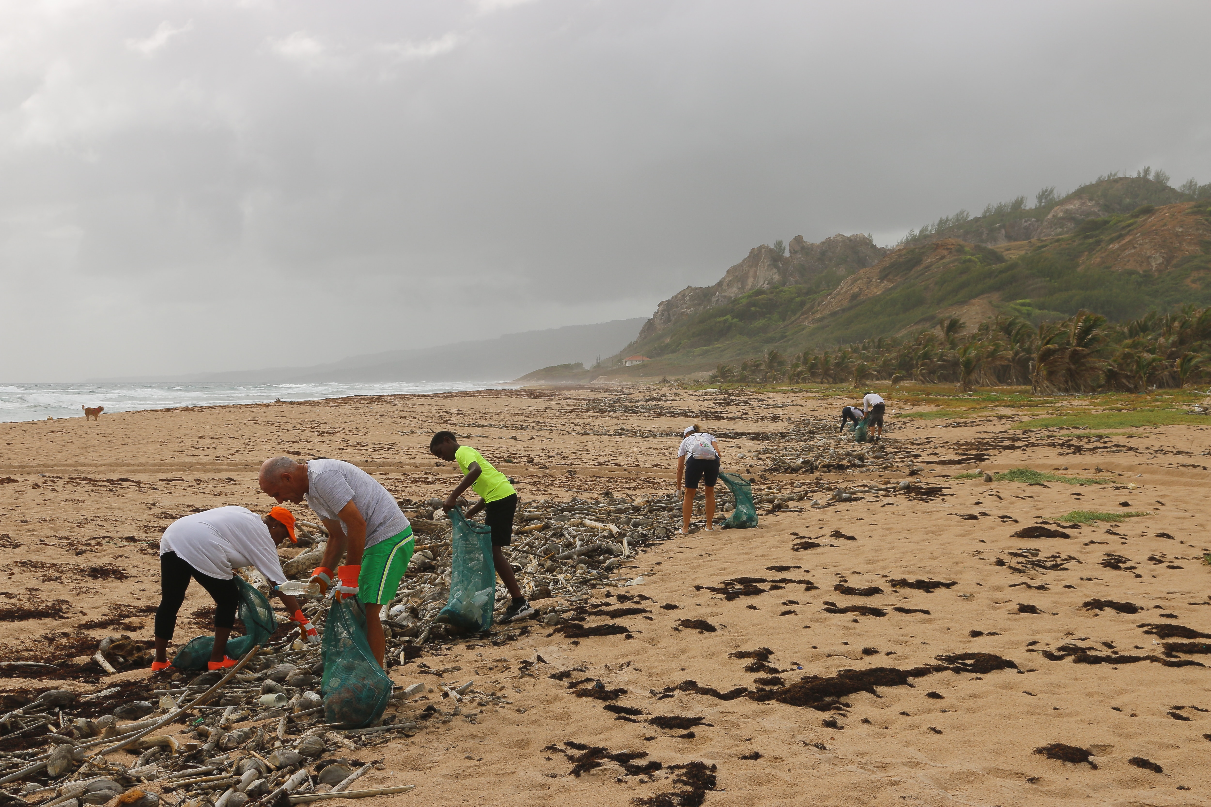 volunteers picking up trash on the beach