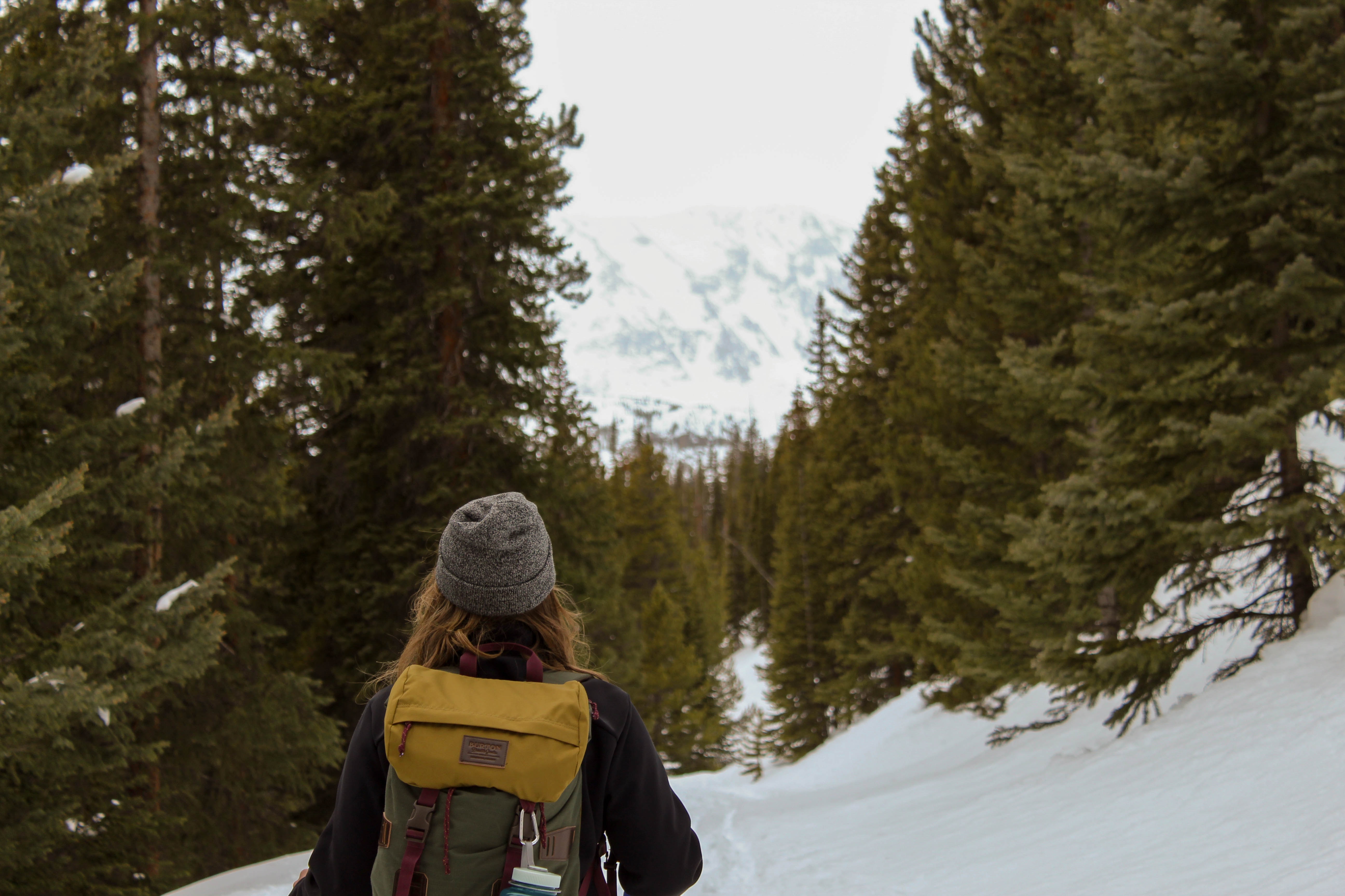 woman snowshoeing outdoors in snow, walking towards a mountain surrounded by pine trees