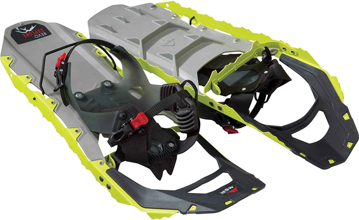 MSR snowshoes, white background