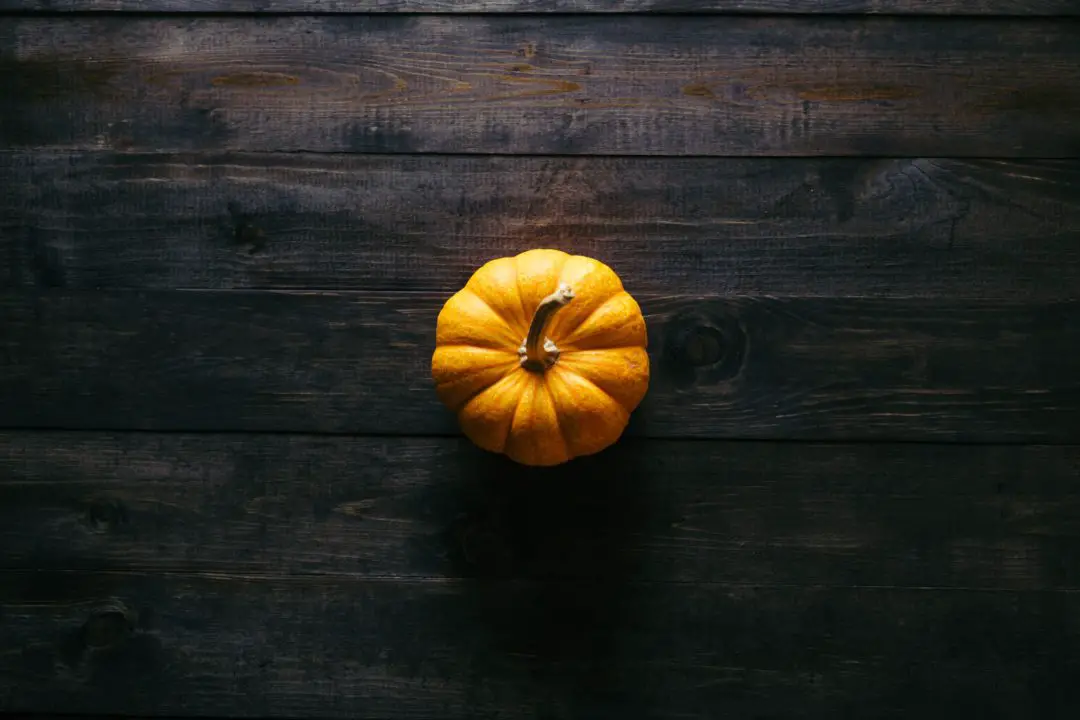 overhead view of small pumpkin centered on dark wooden table