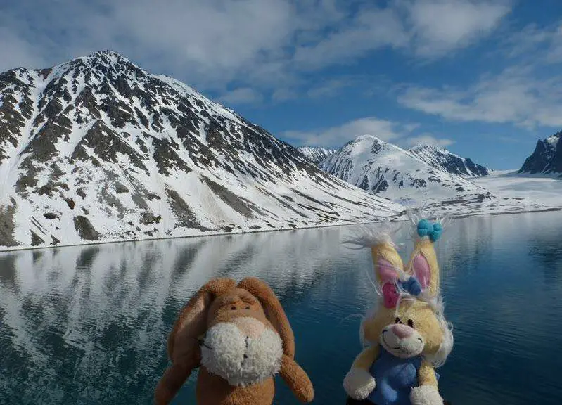 two stuffed animals in the foreground in front of lake, in front of snow covered mountains. example of strange hobby toy voyaging photo