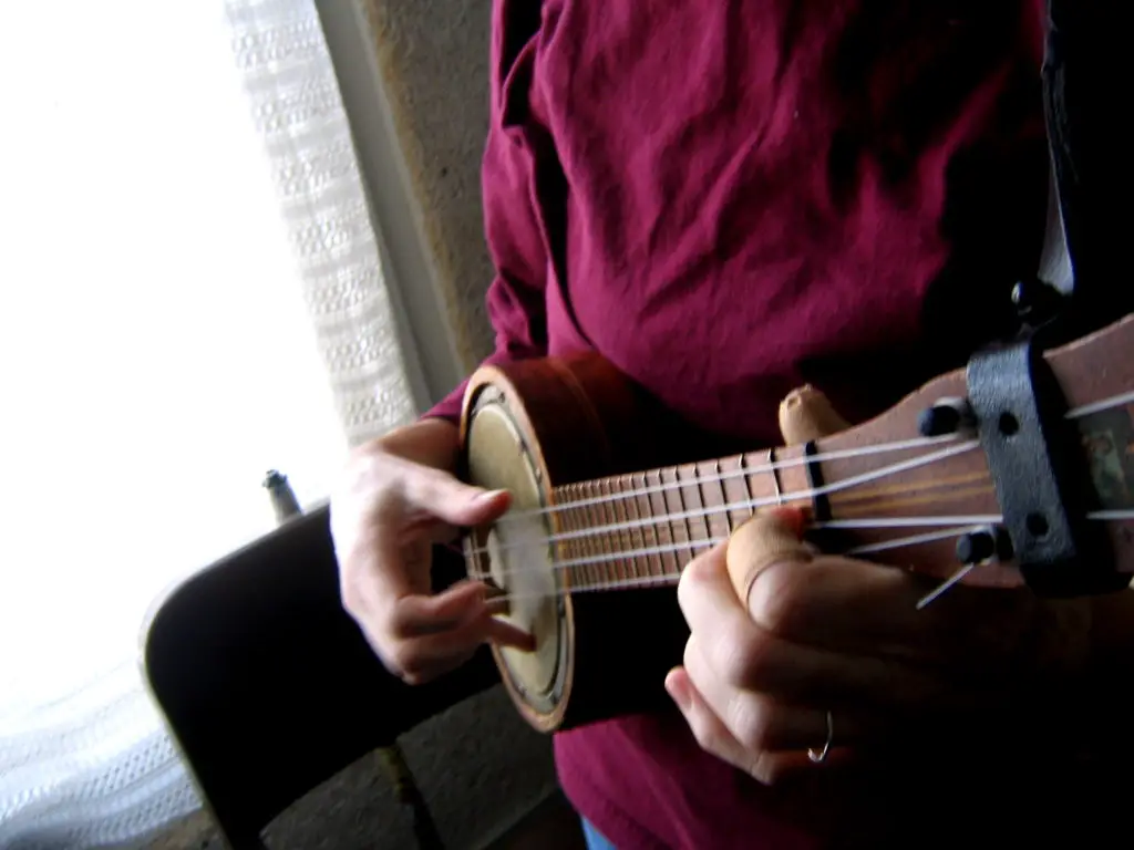 banjolele close up of instrument
