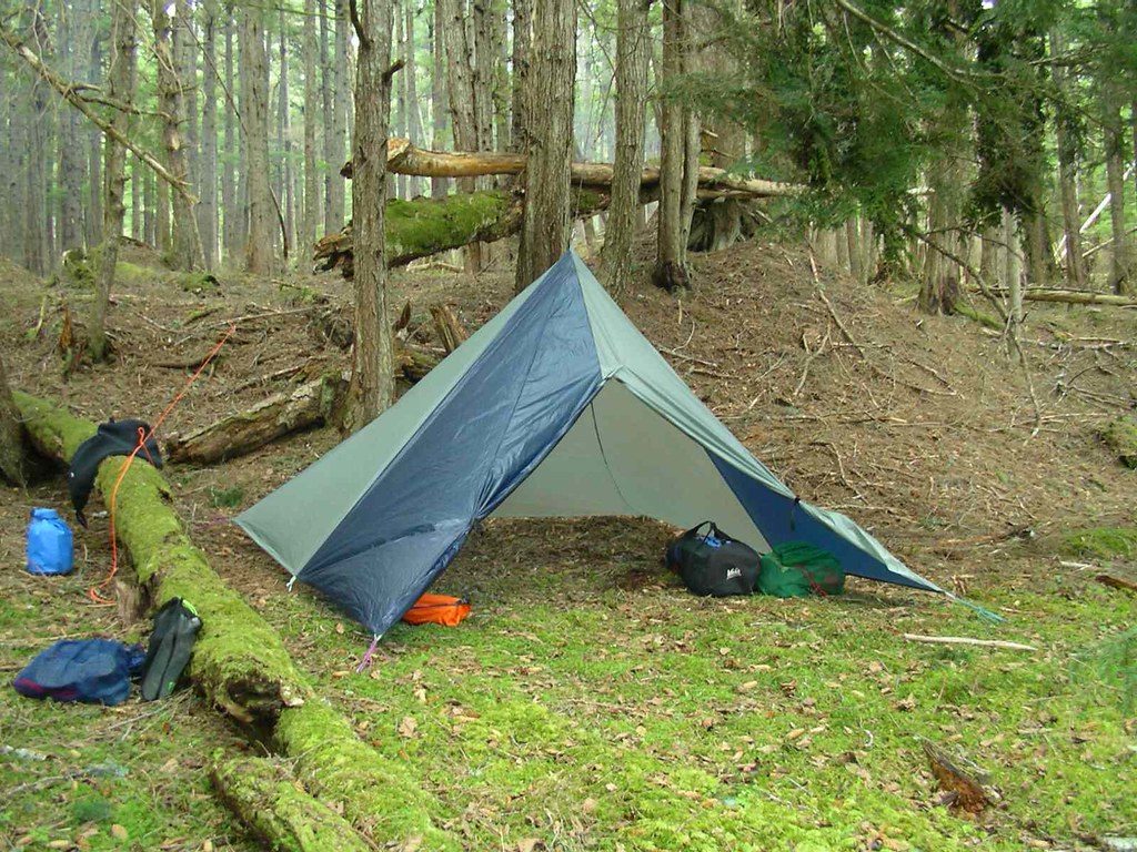 essential tarp and p-cord for emergency shelters