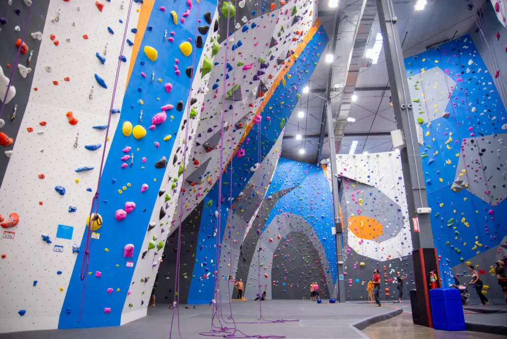 rock climbing gym, climbing holds, ropes