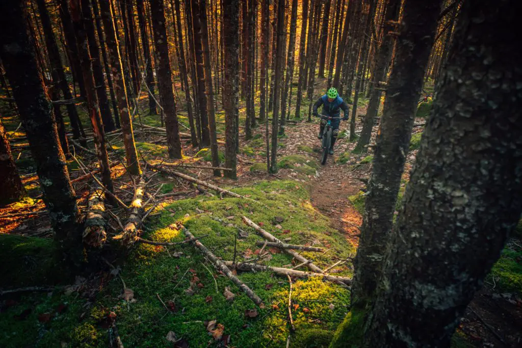 man mountain biking alone in the woods one of the many great hobbies for introverts