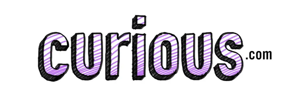 learn hobbies online with curious.com. Purple scribble text site logo