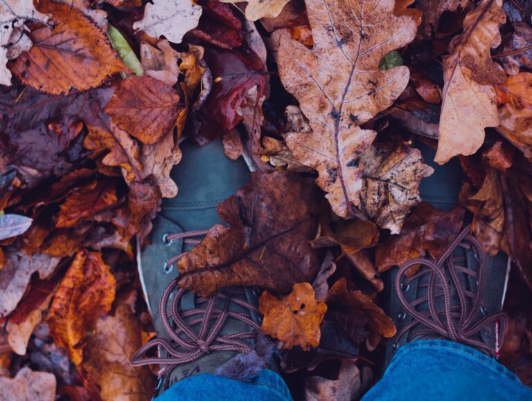 November Hobbies (Late Fall Activities for the Whole Family)