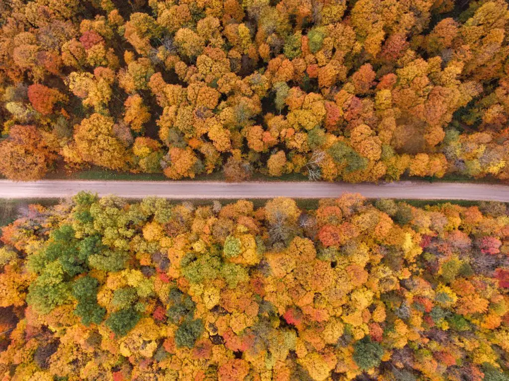 aerial view of fall foliage, october hobby scenic drive