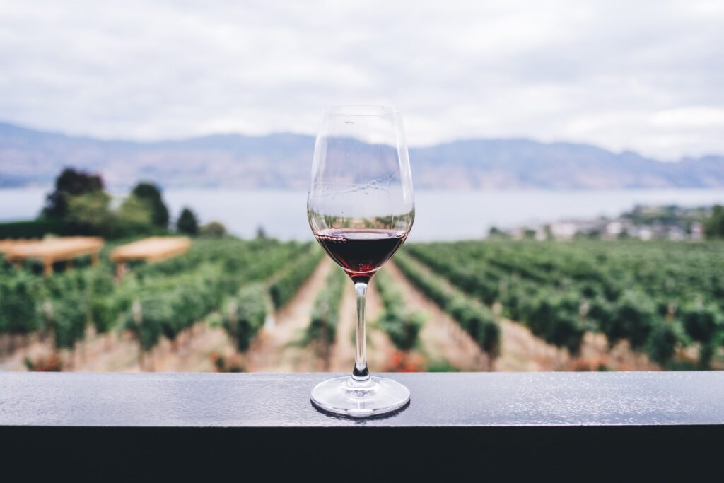 close up of glass of wine with vineyard in the background