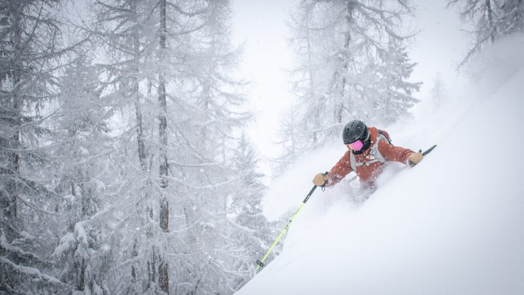 downhill skier on steep deep snow, snowy pine trees in background