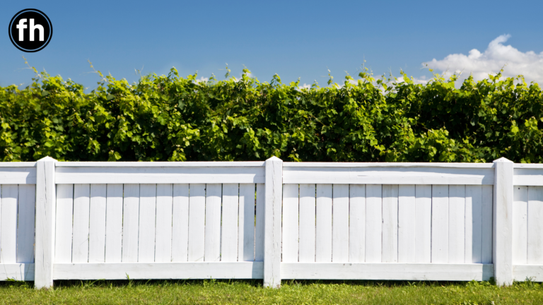 22 Awesome Backyard Hobbies | Activities for the Outdoors!