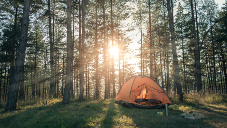 5 Best Books for People Who Love Camping: Top Fiction and Non-Fiction Picks