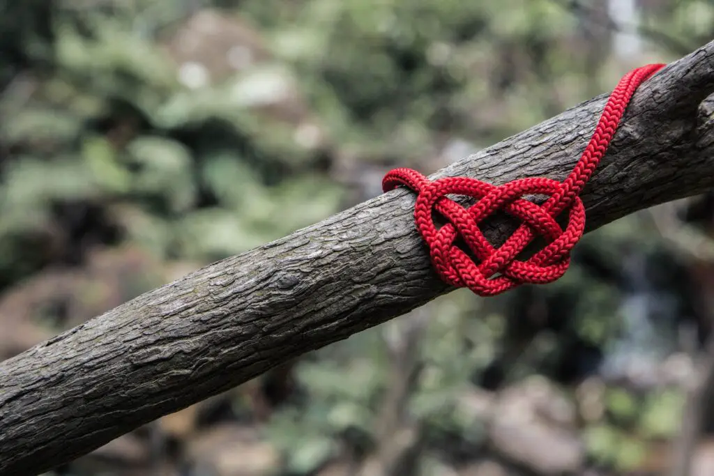 decorative red rope knot on tree limb against forest background