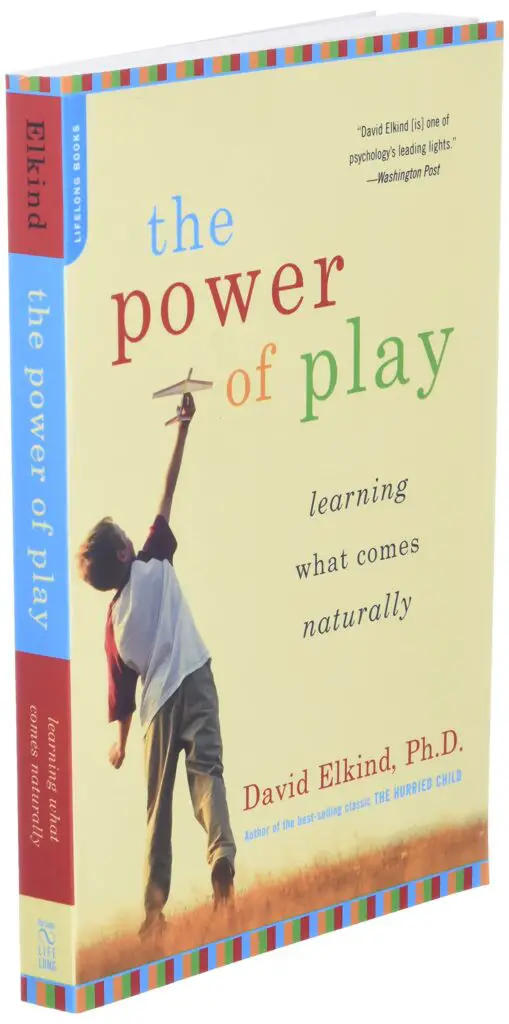 3d book cover of "The Power of Play"