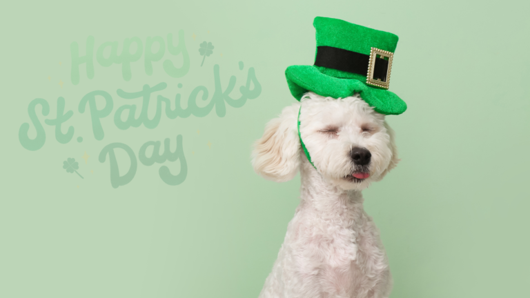 50+ St. Patrick’s Day Icebreaker Questions | Conversation Starters