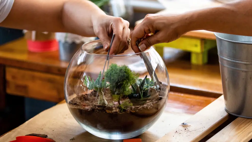 two people with tweezers working on a glass terrarium
