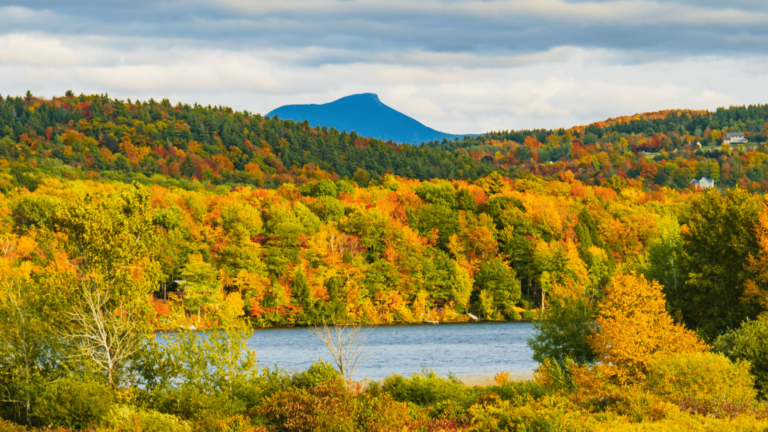 Top 5 Hobbies to Discover in Vermont | Great Activities for Vermonters
