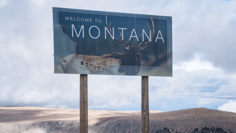 Top 5 Hobbies to Discover in Montana | Awesome Activities for Montanans