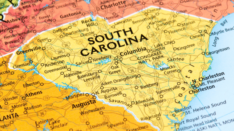 Top 5 Hobbies to Discover in South Carolina | Great Activities for South Carolinians