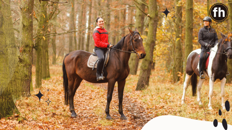 Horseback Riding QUOTES | 25+ Quotes on Horses and the Joy of Riding