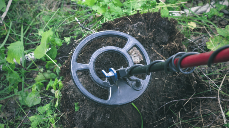 Best Metal Detectors: Your Guide to Top Picks for 2025