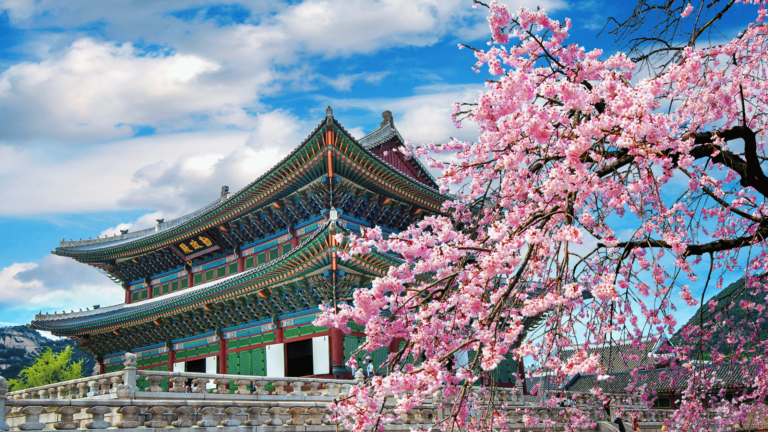 Most Popular Hobbies in South Korea: Unveiling Cultural Traditions and Beginner Tips