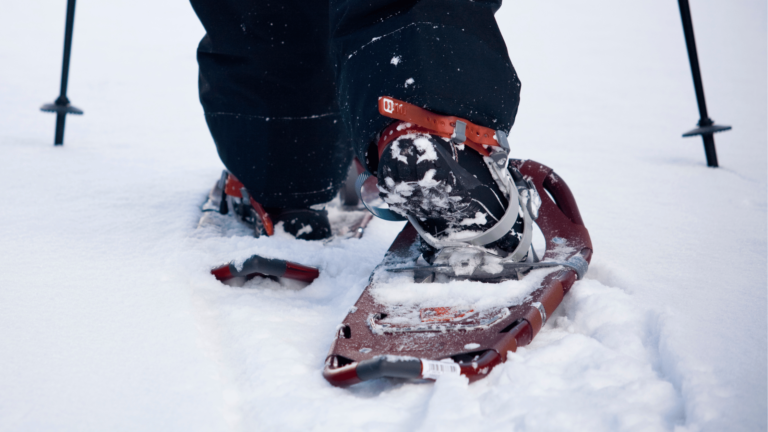 Best Snowshoes for Winter 2025: Top Picks for Your Outdoor Adventures
