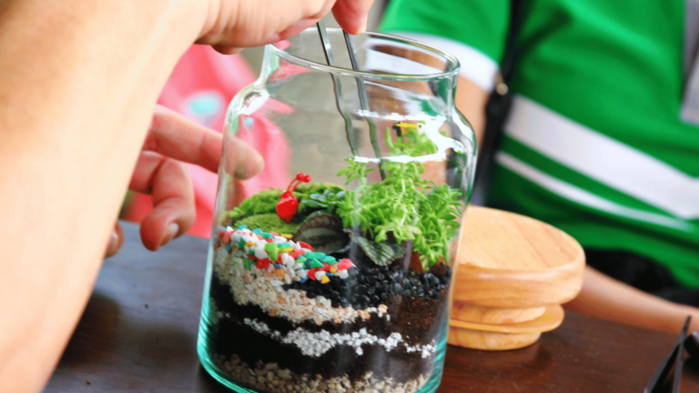 5 Best Terrarium Kits for Kids -Start an Indoor Gardening Hobby!