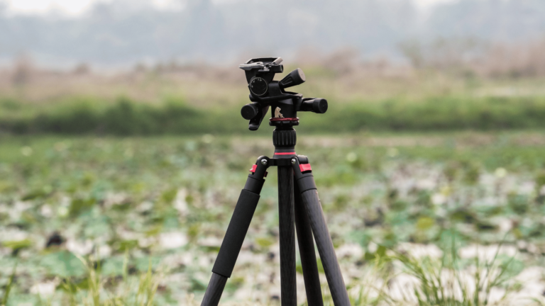 Best Photography Tripods for Every Level of Expertise in 2025